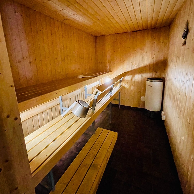 Willa Hauki sauna